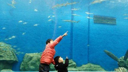 水族館名稱大全(全球知名的水族館名稱) 水族館百科(水族館加盟) 第2張 水族館名稱大全(全球知名的水族館名稱) 水族館名稱大全(全球知名的水族館名稱) 水族館百科(水族館加盟) 第2張