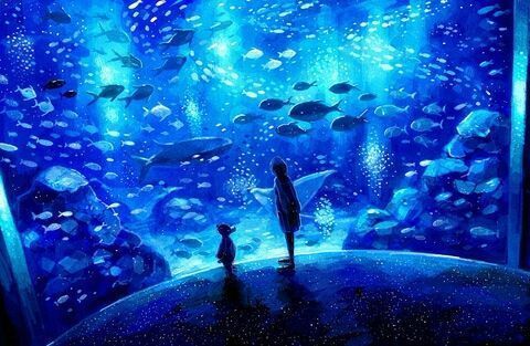 開家水族館利潤怎么樣啊（開一家水族館市場調研方法：水族館市場調研方法）