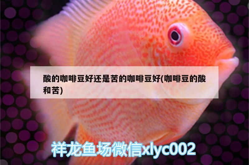酸的咖啡豆好還是苦的咖啡豆好(咖啡豆的酸和苦) 酸的咖啡豆好還是苦的咖啡豆好(咖啡豆的酸和苦) 馬來西亞咖啡