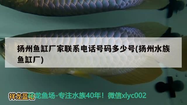 揚州魚缸廠家聯系電話號碼多少號(揚州水族魚缸廠)