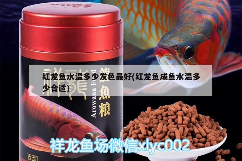 紅龍魚水溫多少發色最好(紅龍魚成魚水溫多少合適)