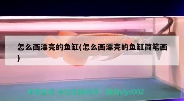 金龍魚用什么魚缸vs祥龍魚場：金龍魚用什么魚缸和祥龍魚場價格趨勢金龍魚與祥龍魚區(qū)別