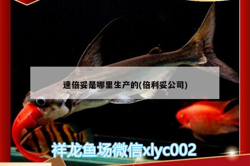 速倍妥是哪里生產的(倍利妥公司)