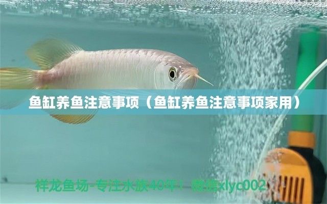 葫蘆島定制魚(yú)缸電話地址在哪（葫蘆島定制魚(yú)缸電話地址在哪里）