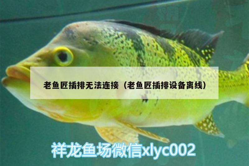 老魚匠插排無法連接（老魚匠插排設(shè)備離線）