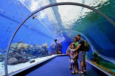 水族館的名稱：北京海洋館水族館名稱介紹