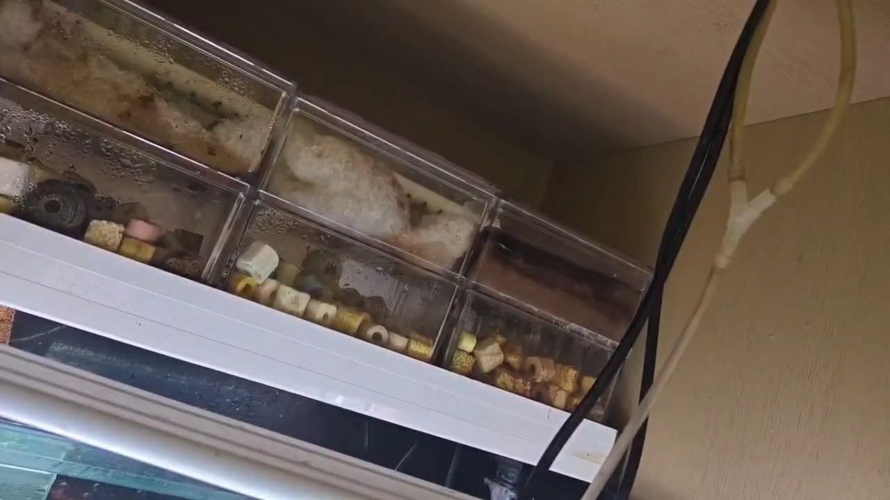 滴流盒