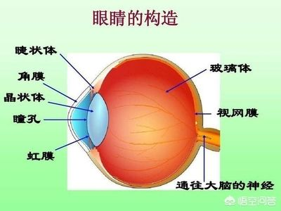 玻璃體渾濁用什么滴眼液（氨碘肽滴眼液治療玻璃體渾濁的滴眼液治療方法是什么） 玻璃體渾濁用什么滴眼液（氨碘肽滴眼液治療玻璃體渾濁的滴眼液治療方法是什么） 可麗愛(ài)魚(yú)缸 第1張