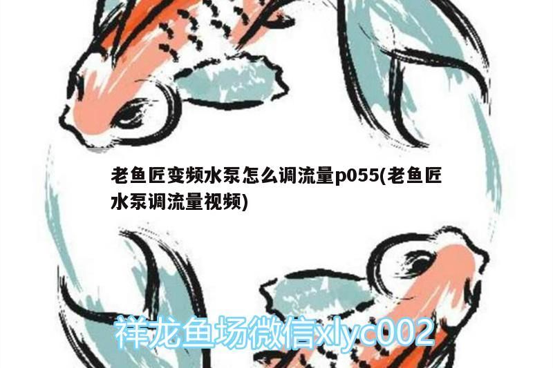 老魚匠變頻水泵怎么調流量p055(老魚匠水泵調流量視頻)