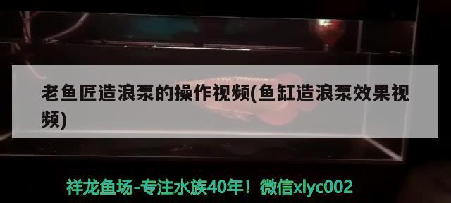 老魚匠造浪泵的操作視頻(魚缸造浪泵效果視頻) 老魚匠造浪泵的操作視頻(魚缸造浪泵效果視頻) 老魚匠