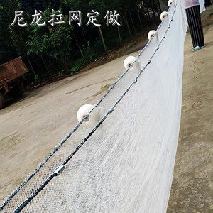 虎魚苗能吃活的泥鰍嗎：虎魚苗可以吃活的泥鰍嗎