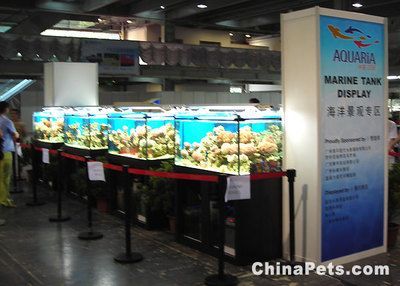 2024水族展覽會:2024中國國際寵物水族展覽會 魚缸百科 第1張 2024水族展覽會:2024中國國際寵物水族展覽會 2024水族展覽會:2024中國國際寵物水族展覽會 魚缸百科 第1張