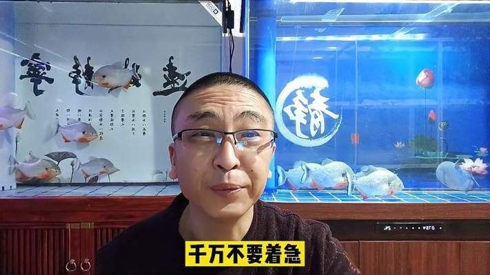 魚缸水白濁加硝化細(xì)菌有用嗎視頻,如何判斷硝化細(xì)菌效果魚缸水質(zhì)改善的其他方法 魚缸百科 第4張 魚缸水白濁加硝化細(xì)菌有用嗎視頻,如何判斷硝化細(xì)菌效果魚缸水質(zhì)改善的其他方法 魚缸水白濁加硝化細(xì)菌有用嗎視頻,如何判斷硝化細(xì)菌效果魚缸水質(zhì)改善的其他方法 魚缸百科 第4張
