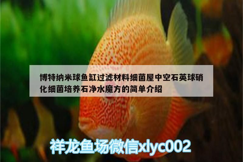 博特納米球魚(yú)缸過(guò)濾材料細(xì)菌屋中空石英球硝化細(xì)菌培養(yǎng)石凈水魔方的簡(jiǎn)單介紹