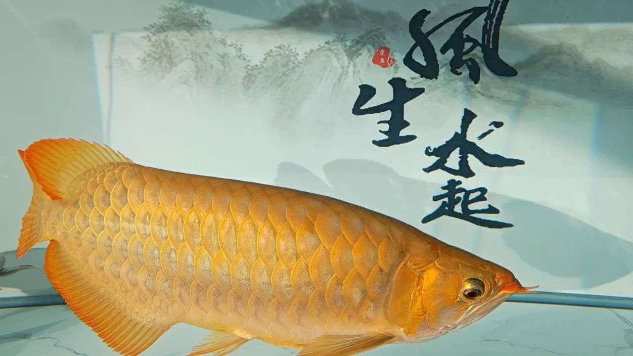 新水的感覺就是好[haha][haha][haha][se][se][se]