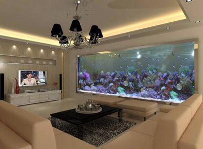 天津觀賞魚夜市時間表圖（天津觀賞魚夜市時間表圖片）