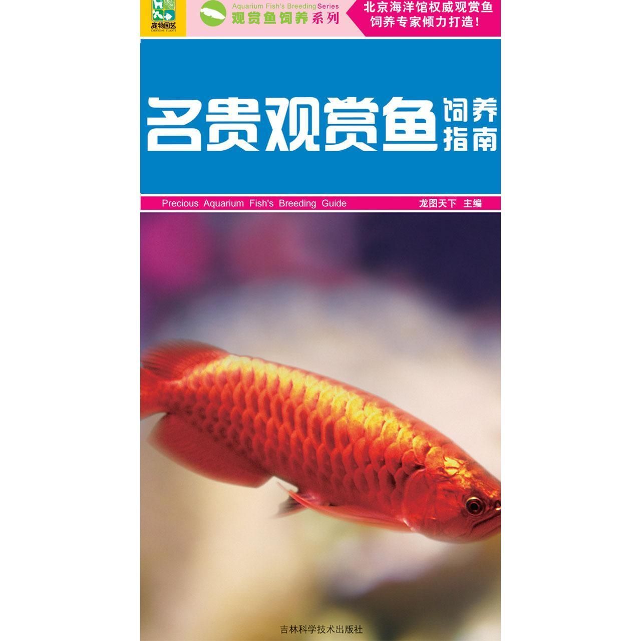 水族館怎么經營書（如何經營一家水族館） 水族館怎么經營書（如何經營一家水族館） 水族館百科（水族館加盟） 第2張