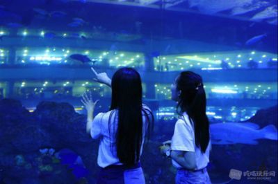 水族館行業(yè)市場競爭現(xiàn)狀（中國水族館行業(yè)市場競爭現(xiàn)狀分析水族館行業(yè)未來增長點探究）