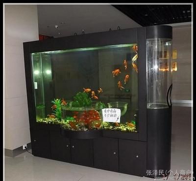水族館買魚缸貴嗎（水族館的魚缸價格是多少）