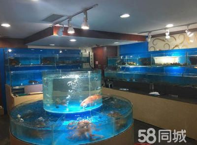水族館買魚缸貴嗎（水族館的魚缸價格是多少）