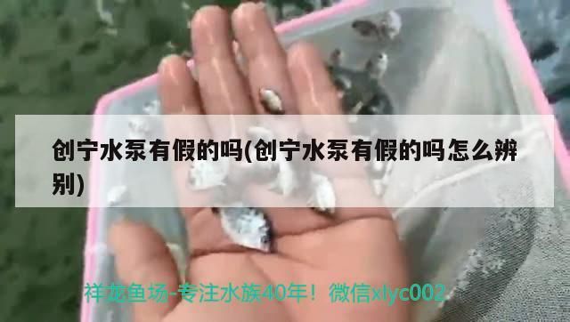 創寧水泵有假的嗎(創寧水泵有假的嗎怎么辨別)