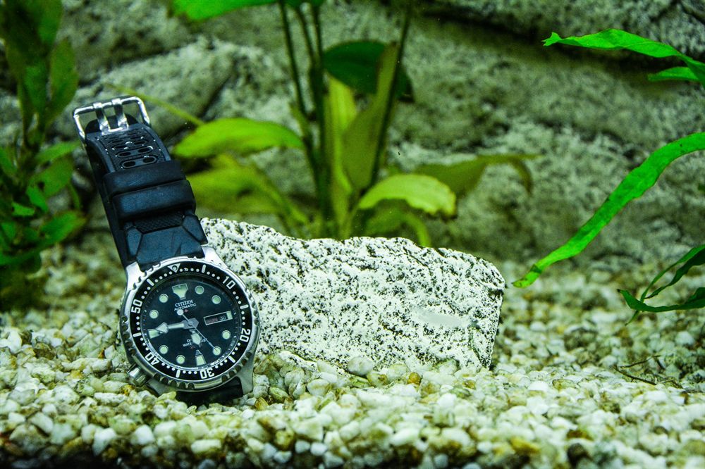 廣州市荔灣區(qū)海慶水族器材店