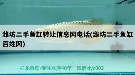 濰坊二手魚缸轉讓信息網電話(濰坊二手魚缸百姓網)