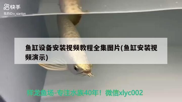 魚缸設備安裝視頻教程全集圖片(魚缸安裝視頻演示)