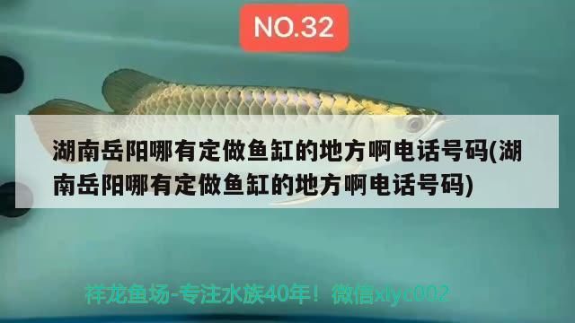 湖南岳陽哪有定做魚缸的地方啊電話號碼(湖南岳陽哪有定做魚缸的地方啊電話號碼)