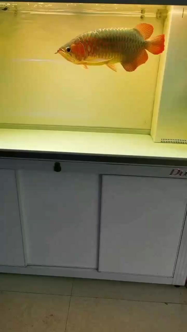 是那個