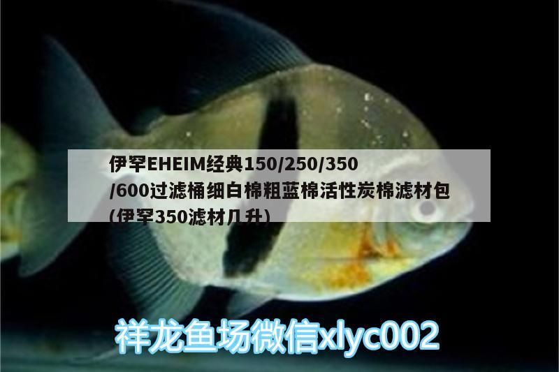 伊罕EHEIM經(jīng)典150/250/350/600過濾桶細(xì)白棉粗藍(lán)棉活性炭棉濾材包(伊罕350濾材幾升)