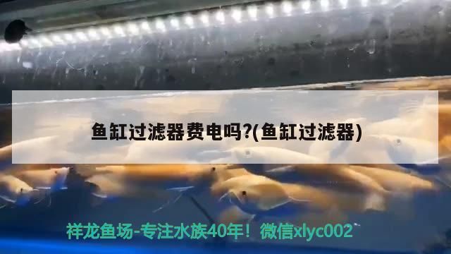 魚缸過濾器費(fèi)電嗎?(魚缸過濾器) 魚缸過濾器費(fèi)電嗎?(魚缸過濾器) 元寶鳳凰魚百科
