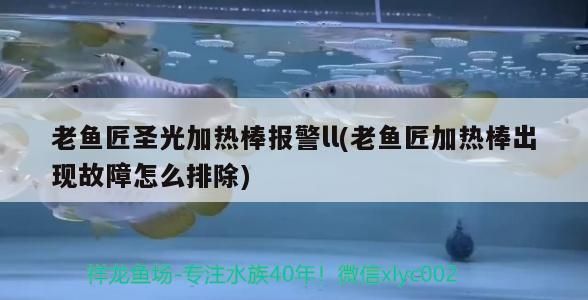老魚匠圣光加熱棒報警ll(老魚匠加熱棒出現故障怎么排除)