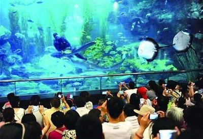 青島水族館門票價格：青島水族館特色展覽介紹青島水族館門票價格詳細信息
