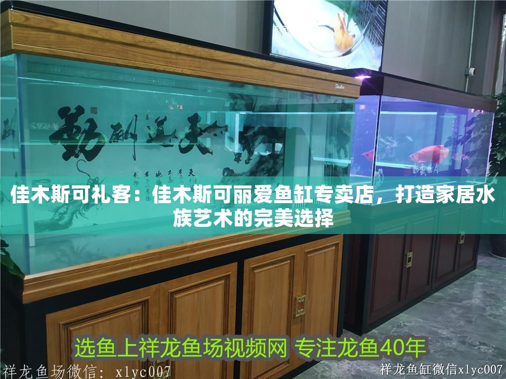 佳木斯可禮客：佳木斯可麗愛魚缸專賣店，打造家居水族藝術的完美選擇