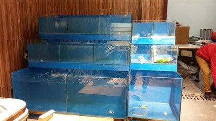 創寧變頻水泵如何清洗（創寧變頻水泵如何清洗視頻）