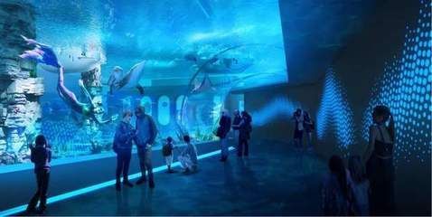 水族館行業(yè)技術創(chuàng)新趨勢（水族館行業(yè)發(fā)展趨勢）