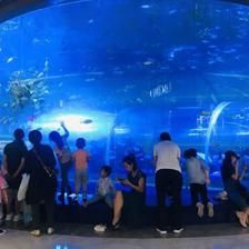 水族館行業(yè)技術創(chuàng)新趨勢（水族館行業(yè)發(fā)展趨勢）