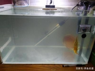 博特水族水泵售后：博特水族水泵的售后情況如下