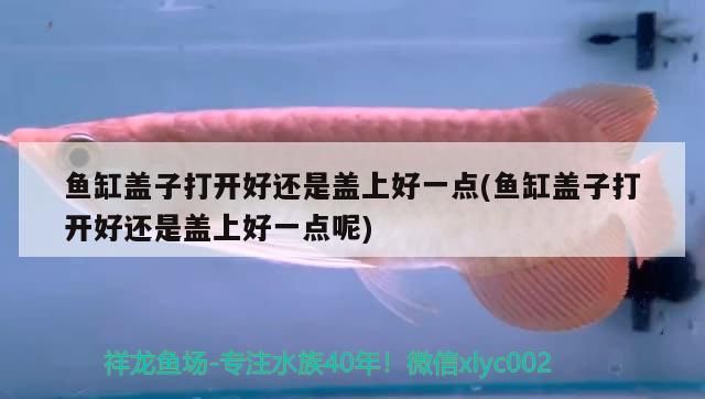 魚(yú)缸蓋子打開(kāi)好還是蓋上好一點(diǎn)(魚(yú)缸蓋子打開(kāi)好還是蓋上好一點(diǎn)呢)