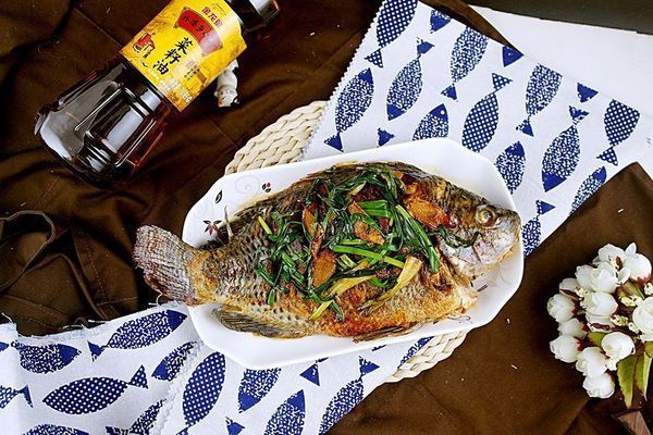 金龍魚燒尾了怎么辦小妙招：金龍魚常見疾病及防治方法