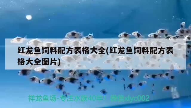 紅龍魚飼料配方表格大全(紅龍魚飼料配方表格大全圖片)