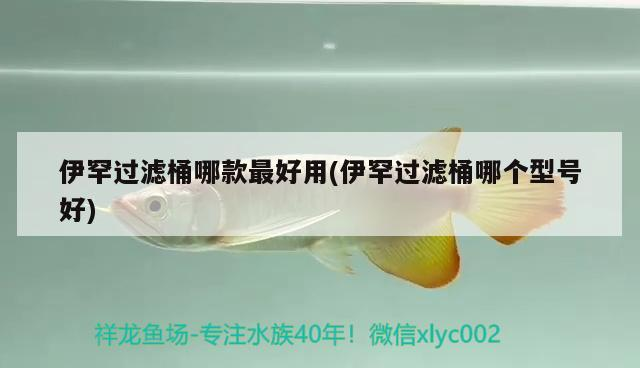 伊罕過(guò)濾桶哪款最好用(伊罕過(guò)濾桶哪個(gè)型號(hào)好) 伊罕過(guò)濾桶哪款最好用(伊罕過(guò)濾桶哪個(gè)型號(hào)好) 伊罕水族