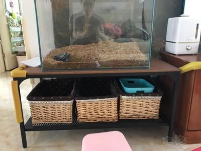 60x40x40的魚缸有多重：60x40x40x40x40x40厘米的魚缸計算方法