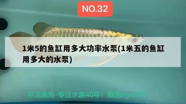 紅龍魚增色飼料配方大全視頻(紅龍魚增色劑)