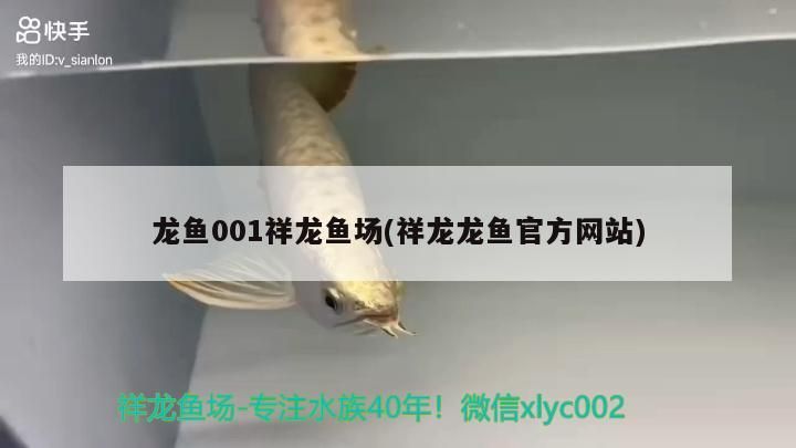 龍魚001祥龍魚場(祥龍龍魚官方網站)