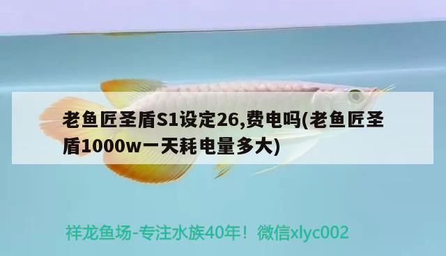 老魚匠圣盾S1設定26,費電嗎(老魚匠圣盾1000w一天耗電量多大)