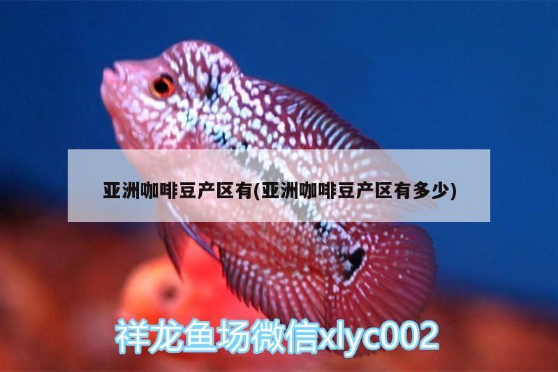 亞洲咖啡豆產區有(亞洲咖啡豆產區有多少)