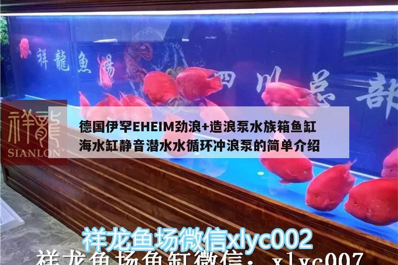 德國伊罕EHEIM勁浪+造浪泵水族箱魚缸海水缸靜音潛水水循環沖浪泵的簡單介紹，德國伊罕EHEIM勁浪+造浪泵，靜音潛水水循環沖浪泵簡介