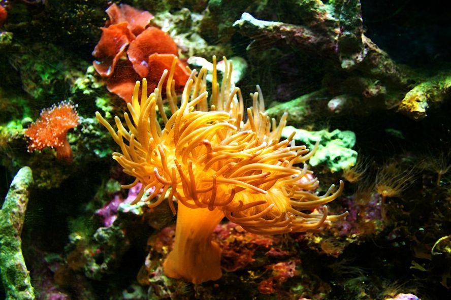 重慶魚缸清洗服務公司有哪些地方：家政上門清洗價目表
